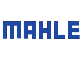 Mahle KL834 - COMBUSTIBLE