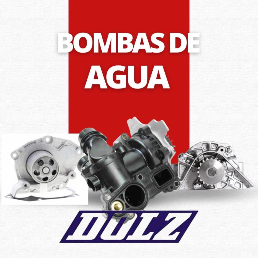 Recabus y Dolz: una alianza basada en la calidad y la experiencia. 